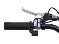 Электровелосипед Wellness CROSS RACK 750W