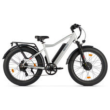 Eltreco BigCat Dual Next PRO (серебристый матовый)
