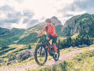 Электровелосипед Haibike XDURO FullSeven 7.0